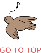 GO TOP TOP
